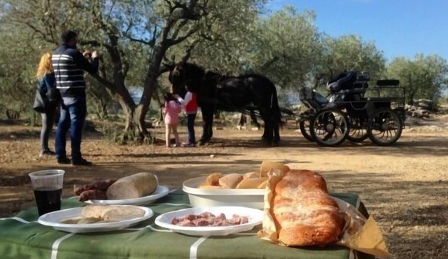 Self catering Can Barraca for 5 people