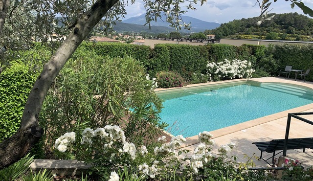 Self-catered villa with private pool in a flowery garden with trees