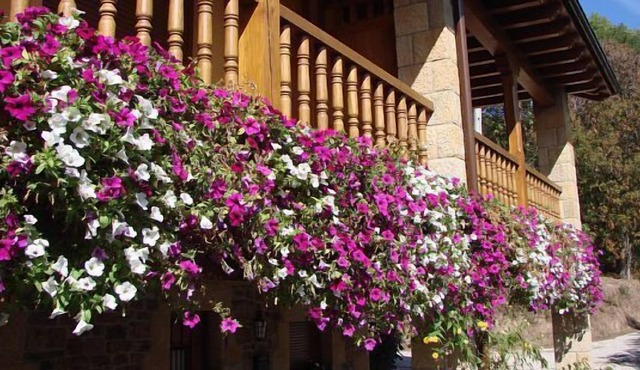 Self catering La Real de Piasca for 7 people