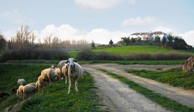 Self catering Cortijo La Gineta for 6 people