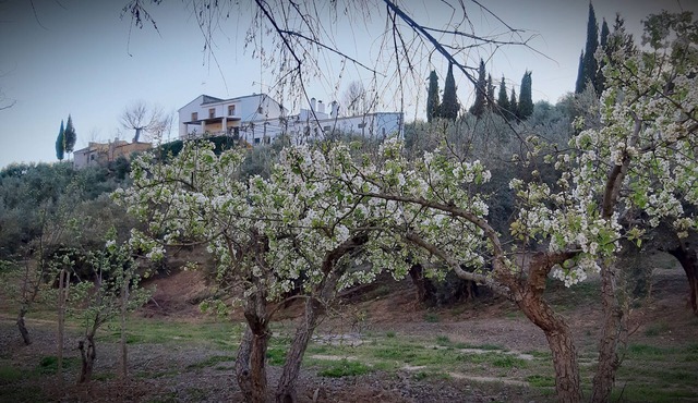 Self catering Cortijo El Capricho for 7 people