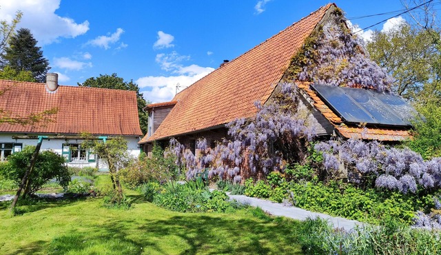 Self-catering cottage in Flanders