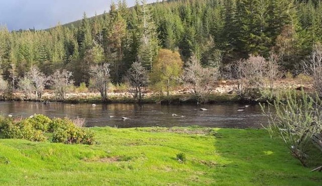 Self catering flat in heart of Scottish Highlands