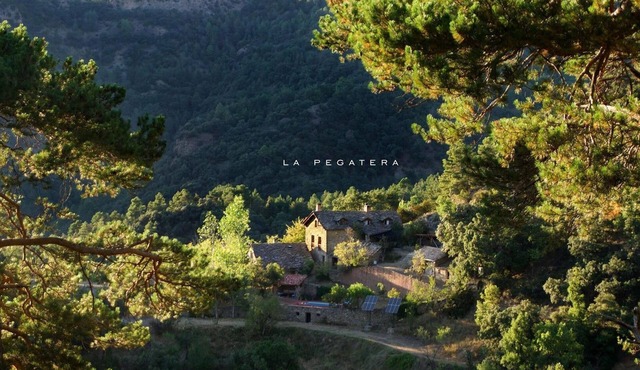 Self catering La Pegatera for 7 people