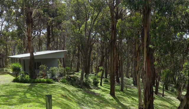 Self-contained 1br unit on 11 acres of beautiful natural bush with ocean views.