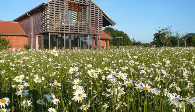 Self-contained Studio/Apartment with a well equipped kitchen & private bathroom