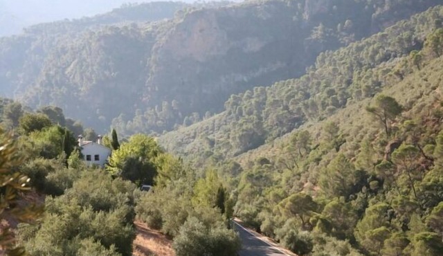 Self catering El Nolo for 14 people