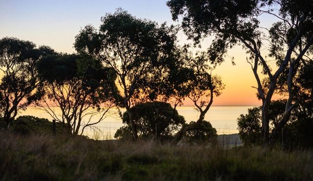 Sellicks Hill Eco Cabin ~ Sellicks Hill - A unique off-grid holiday experience