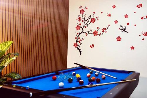 Semi D 20pp Pool, Karaoke & Pool Table