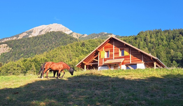 Semi-detached chalet with breathtaking valley views