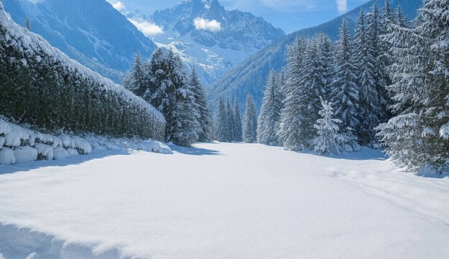 Semi Detached Chalet For 8 With Balcony & Garden