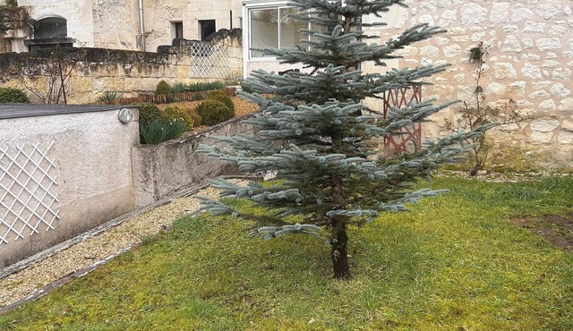 Semi-troglodyte and atypical house