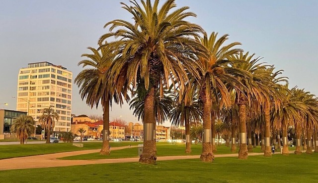 Sensational St.Kilda stay at Sunset Beach Tower