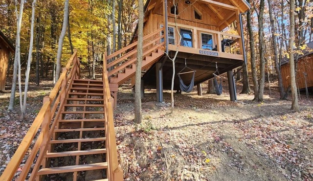 Sequoia/Lakeview 4-6 Person Midsize Cabin