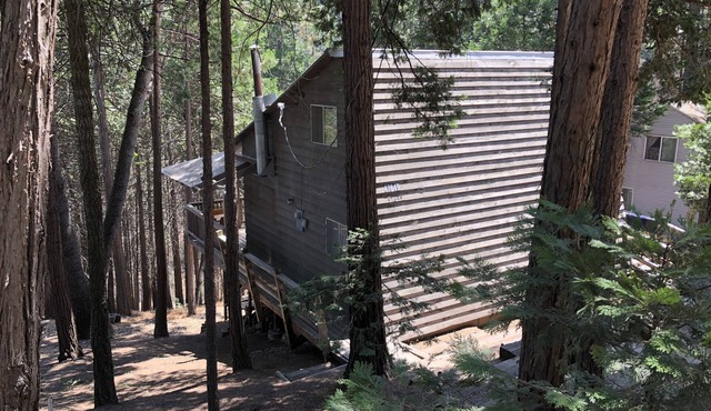 Sequoia National Forrest CabinK