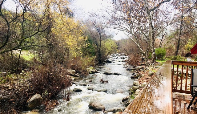 Sequoia River Dance ~Close to Park & on the River!