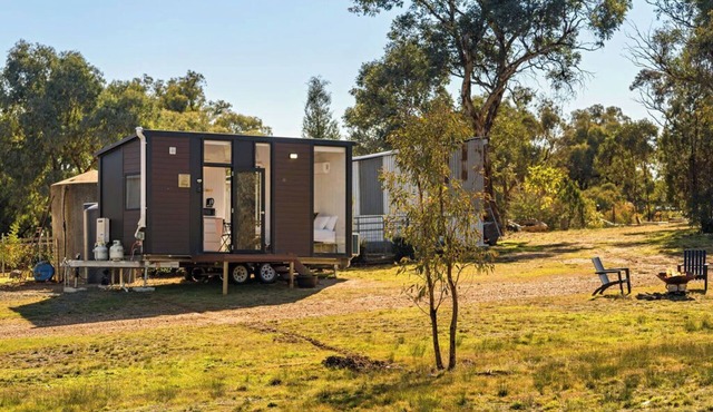 Serendipity by Tiny Away