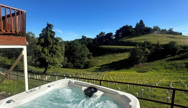 Serendipity Luxury Retreat - Vineyard! Private Hot Tub! Dogs Welcome!
