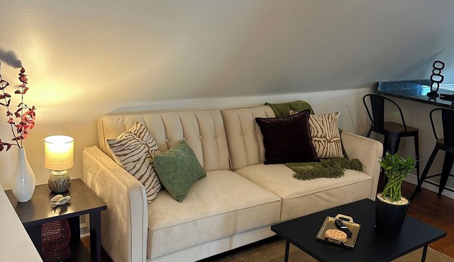 Serene 2-bedroom apartment with AC in Forest Park