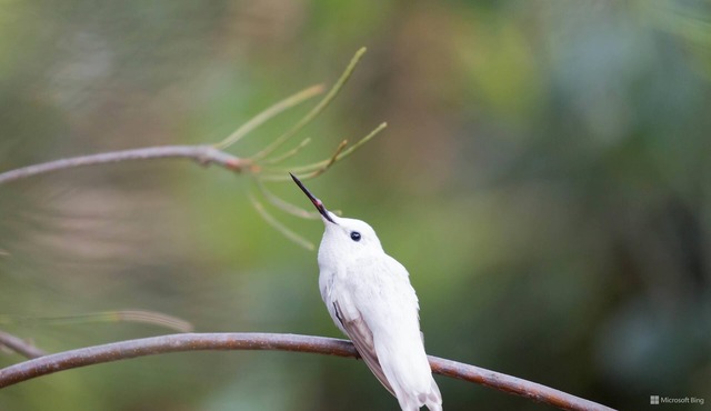 Serene 3-bedroom house with lots of space and large views of the charming town.