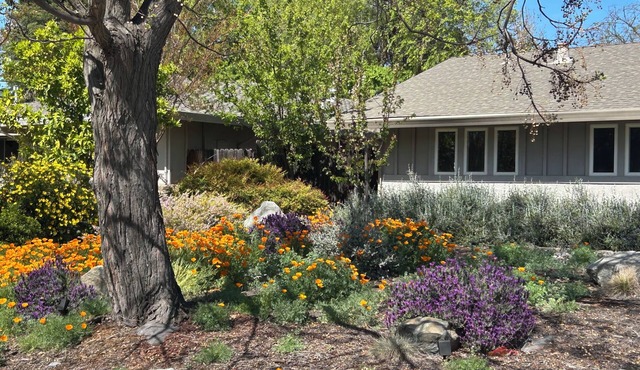 Serene 3BR Oasis in Davis: Bike-Friendly Haven Near UC Campus