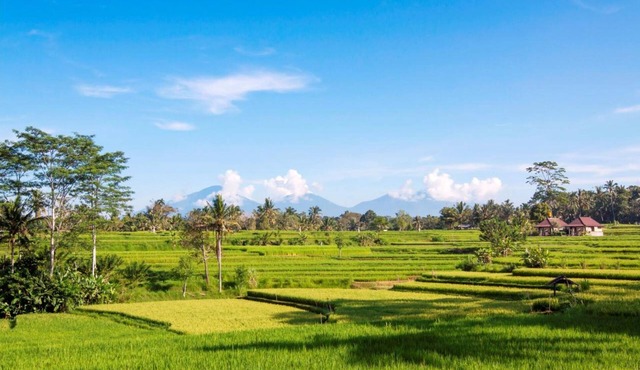 Serene accommodation in Ubud Riverside, Feel the Ambience