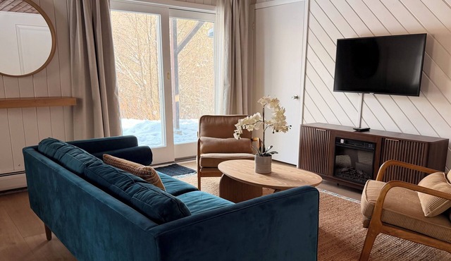 Serene and Cozy 2 bedroom apartment in charming Stowe perfect for relaxing stays