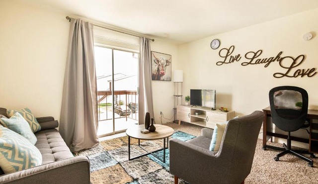 Serene Apartment, Close to Medical Center, MD Anderson