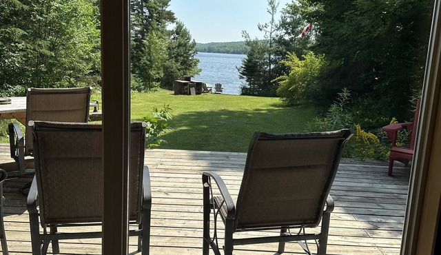 Serene Buck Lake Muskoka Cottage- year round- boat -fish-Ski- Snowmobile- ATV-