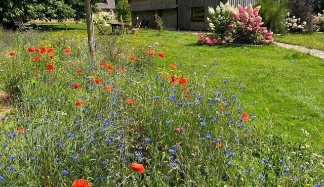 Serene & Charming Countryside Haven Lush Garden 10 min to Deauville&Honfleur