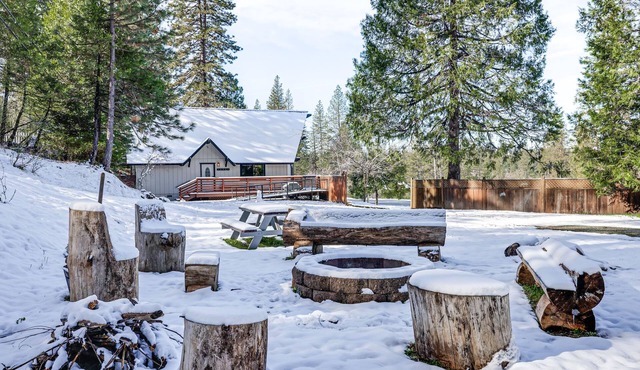 Serene Cabin Retreat Between Murphys & Arnold