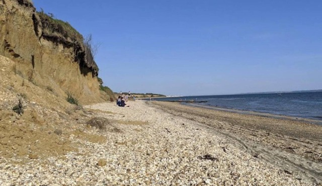 Serene Chalet Retreat