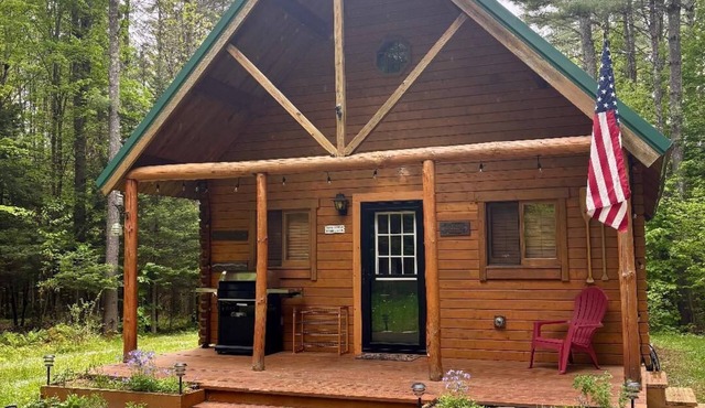 Serene Cottage Escape in Wells, NY ADK Peace, Pines & Possibility. Dogs Welcome!