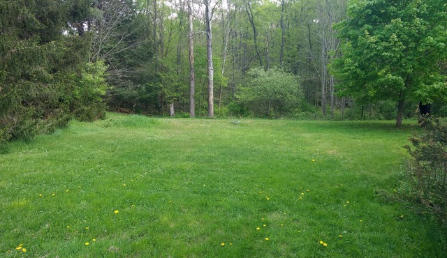 Serene Creek Frontage