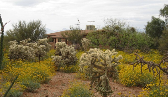 Serene desert environment, great sunsets, beautiful wildlife and long walks.