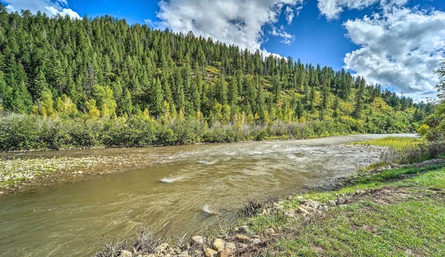 Serene Dolores Cabin w/Patio & River Access!