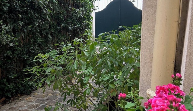 Serene garden apartment in le Marais
