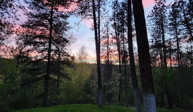 Serene Hideaway near nature and the Little Spokane River