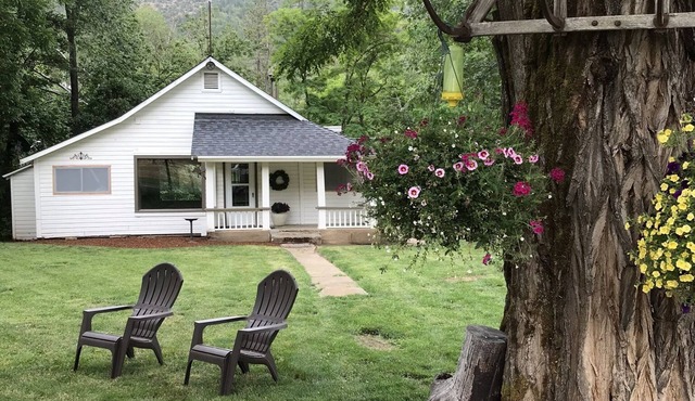 Serene Historic Cabin, Nine Acre Estate, Just Off I-5