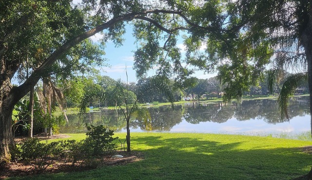 Serene Lakefront North Tampa Top-Notch 4-bed Courtyard Home Golf Cart Getaway