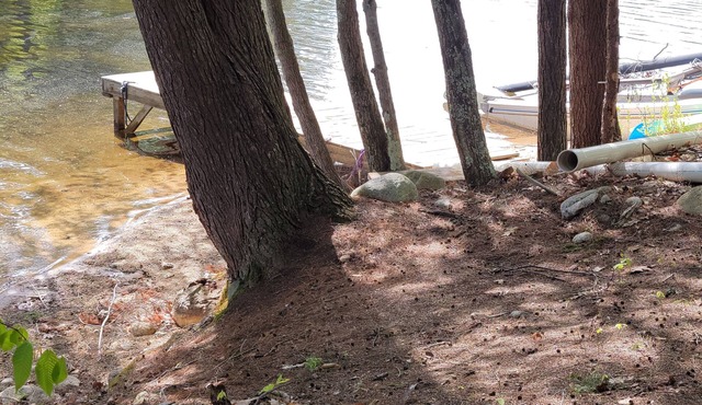 Serene Lakehouse Getaway with 4 Bedrooms and Wifi