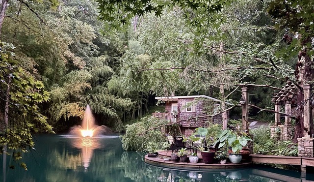 Serene Lakeside Bamboo Bungalow