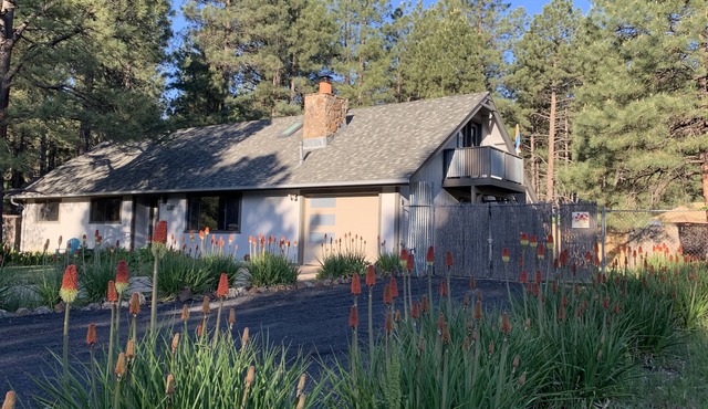 Serene Loft for Outdoor Lovers