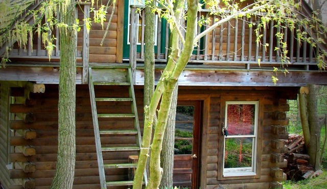 Serene Log Cabin Nestled Among the Battlefields