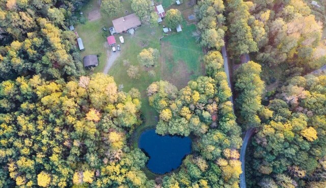 Serene Log Home w pond, fenced-in yard & pastures