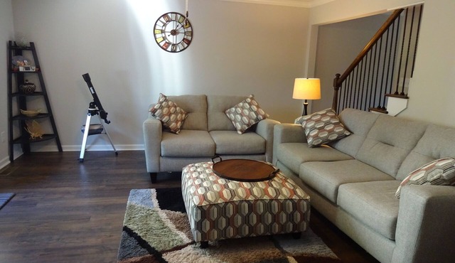 Serene Luxury Condo! Low rent! High Speed WiFi! 2King Beds! Walk to Downtown!