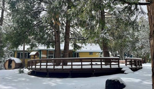 Serene & Magical Cabin - Family/ADA-Friendly, w/Barrel Sauna & Fireplace!