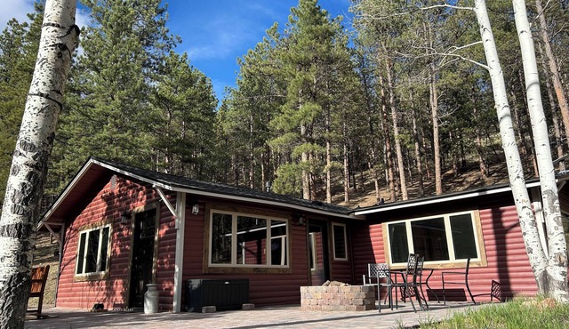 Serene Mountain Cabin Escape - 1 hr from DIA! Gas firepit & Wifi