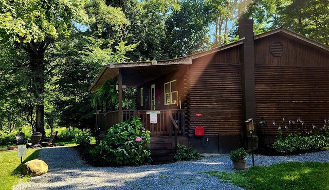 Serene Mountain Cabin: Trout Fishing & Wildlife Retreat