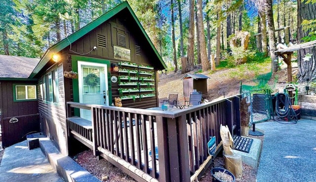 Serene Mountain Escape-Cozy Cabin Near Sly Park